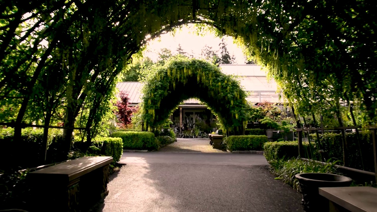 Bayview Arch