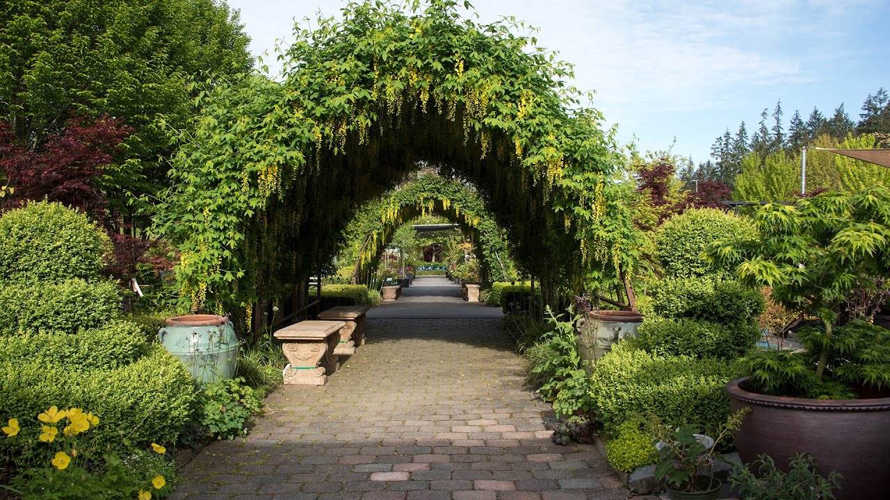 Bayview Arbor