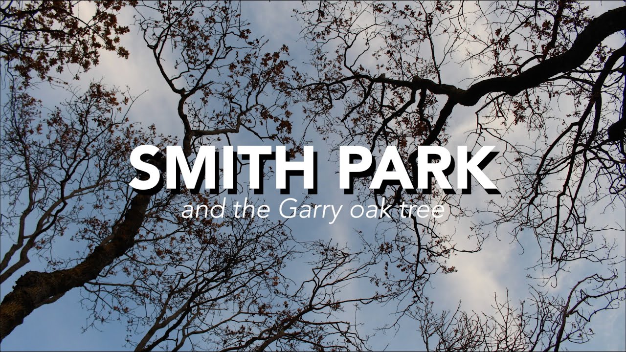 Smith Park and The Garry Oak Tree - Oak Harbor Garry Oak Society