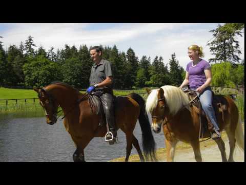 Horseback Riding