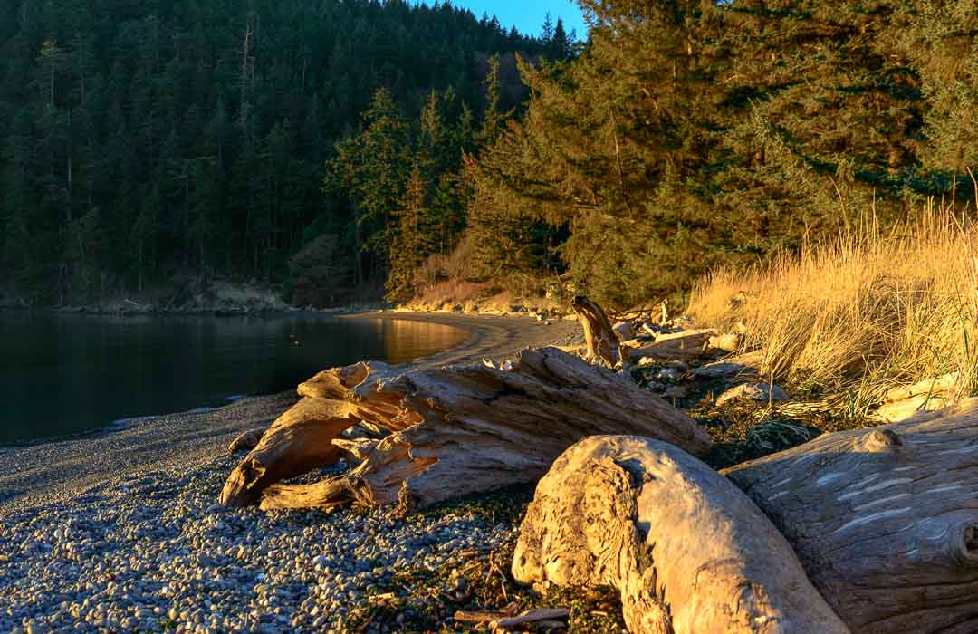 Driftwood on the beach at Bowman Bay