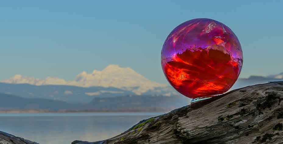 A glass ball rests on a piece of driftwood with Mt. Baker in the background.