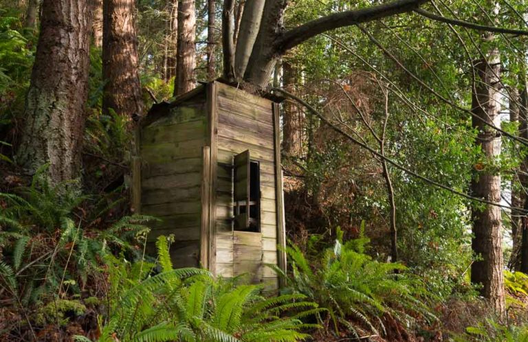 Abandoned smokehouse at Possession Point