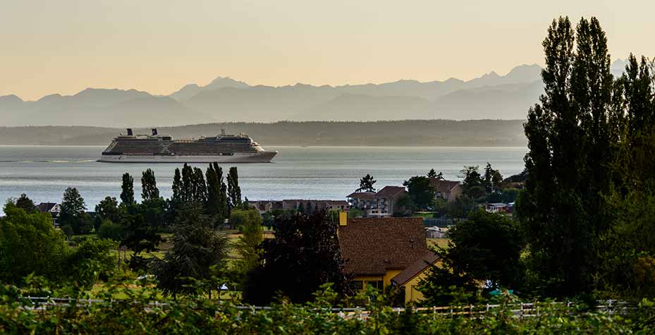 Homes are in the foreground, water with a cruise ship is in the middle ground, and mountains are in the distance.