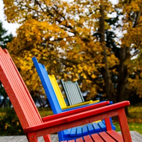 A row of chairs painted different bright colors.