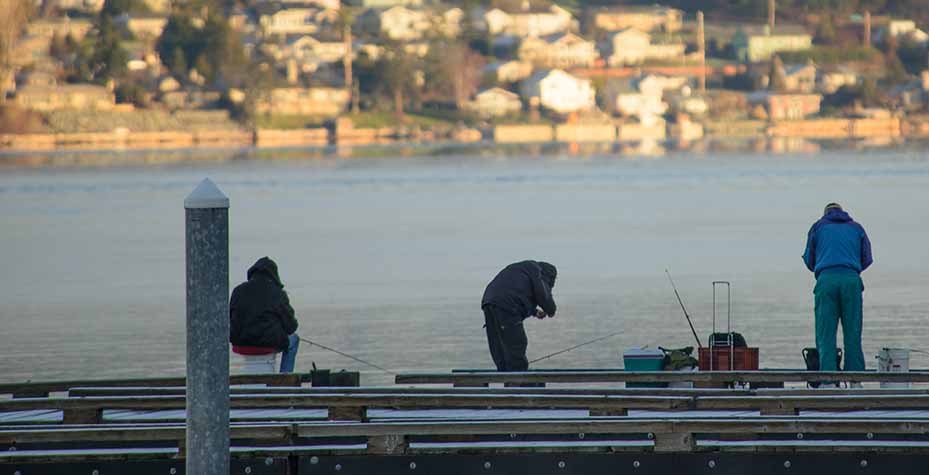 Several people standing at a dock fishing.