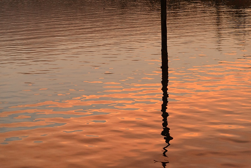 The water glows in Penn Cove reflecting the morning sunlight.