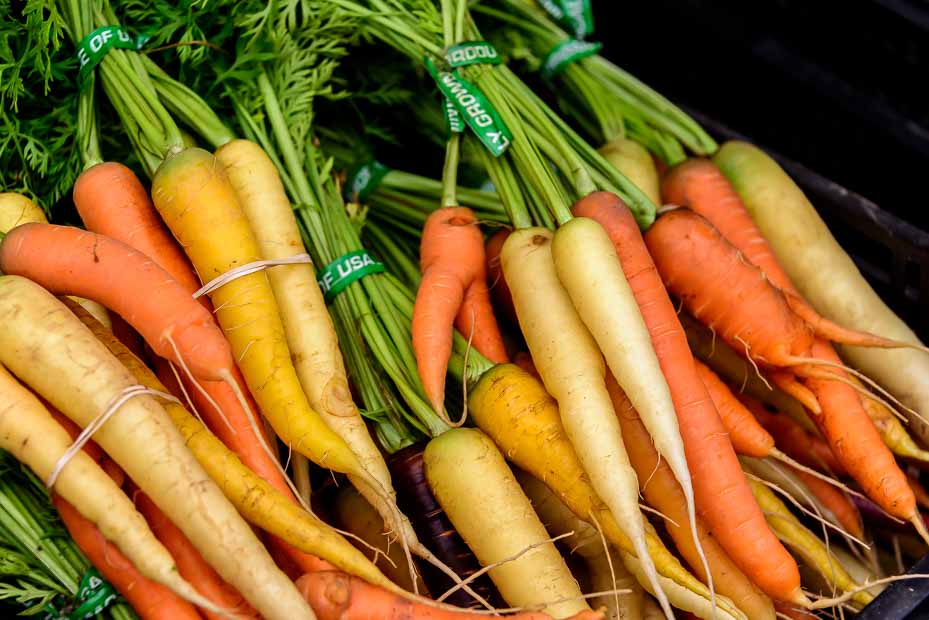 Various shades of carrots are bundled together