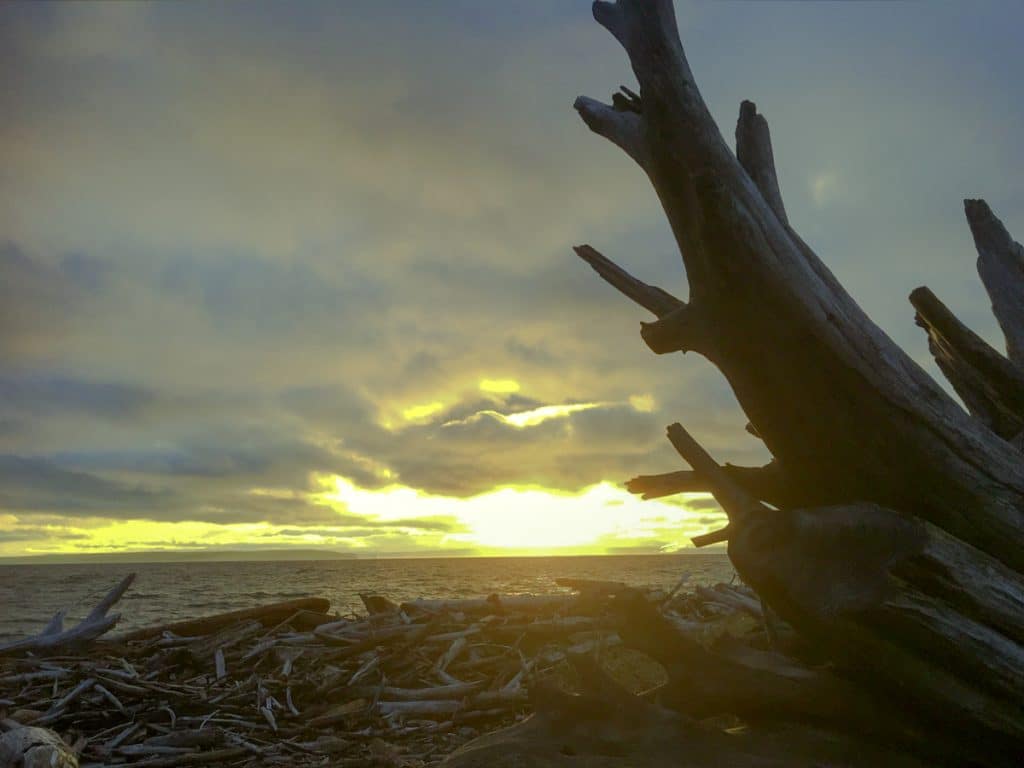 A piece of driftwood sticks up to a cloudy sky and the sun is setting behind it.