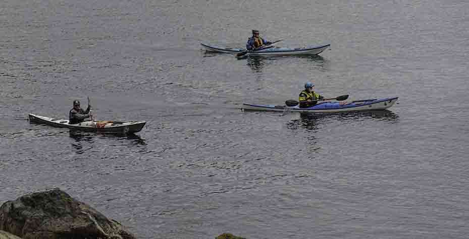 3 Kayakers in the water