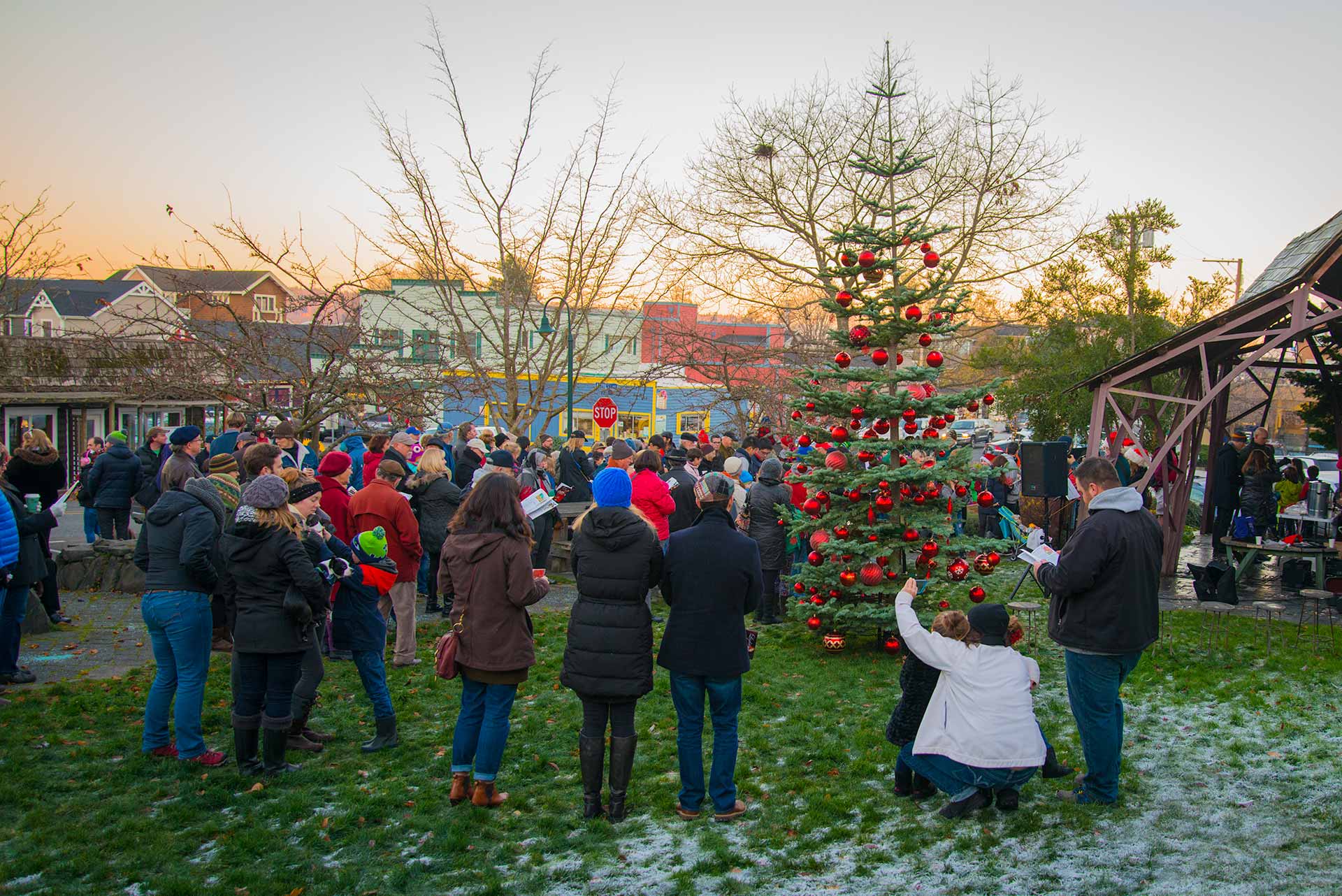 People gather in a park for carol singing and a tree lighting.