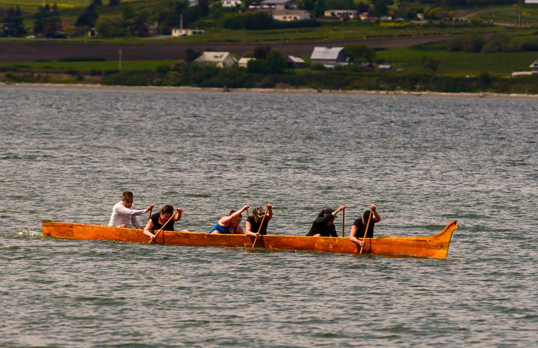 Two six-member teams in canoes with the farmland surrounding Penn Cove in the background