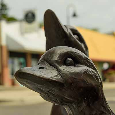 The faces of two large bronze ducks