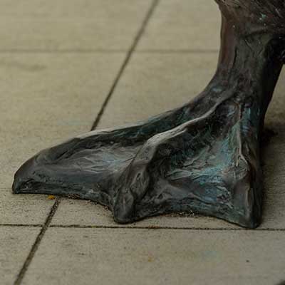 The large web foot of a bronze duck.