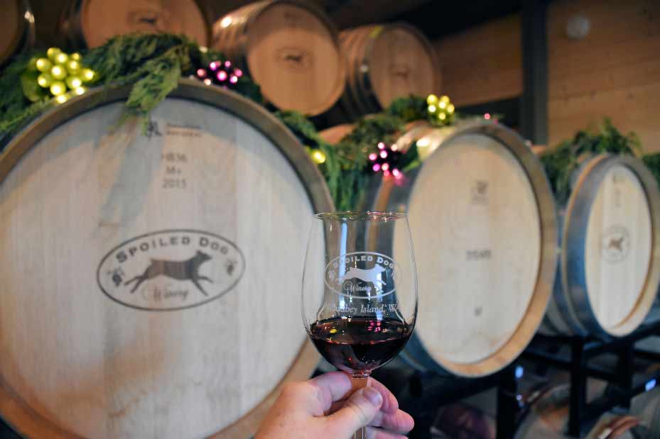 A hand holding a glass of wine with wine barrels in the background. 