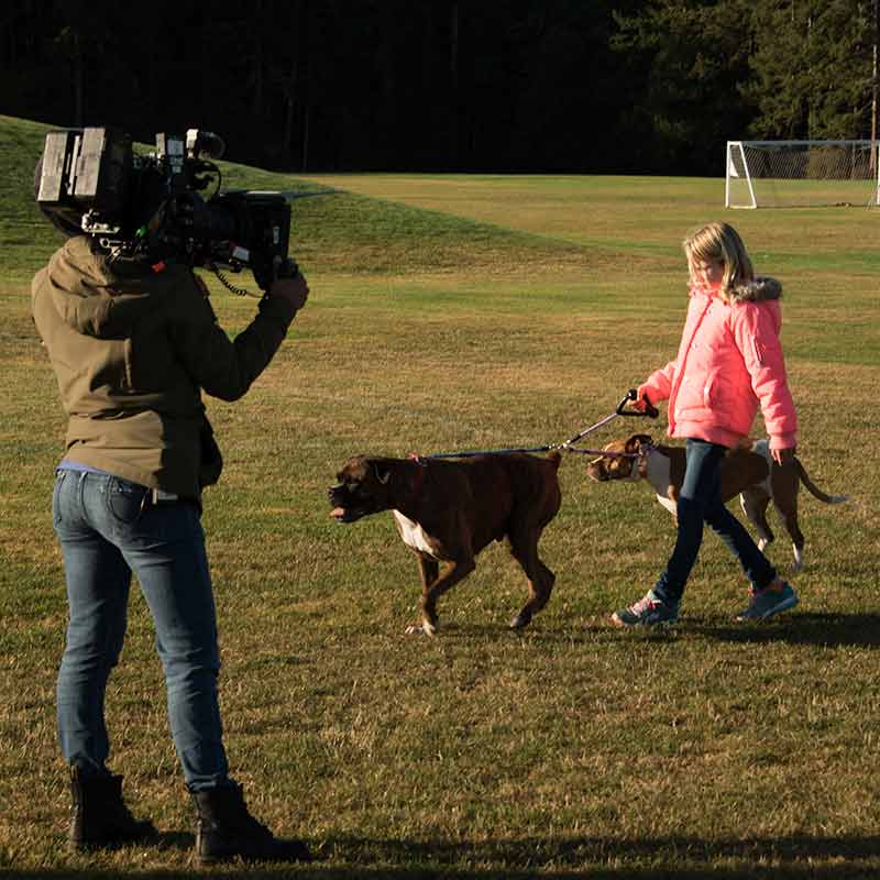 Person with video camera taping a girl walking her dog.