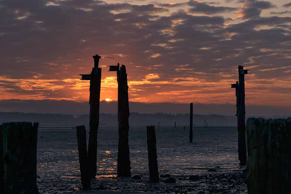 Old wharf pilings in sea water with mountains and a rising sun.