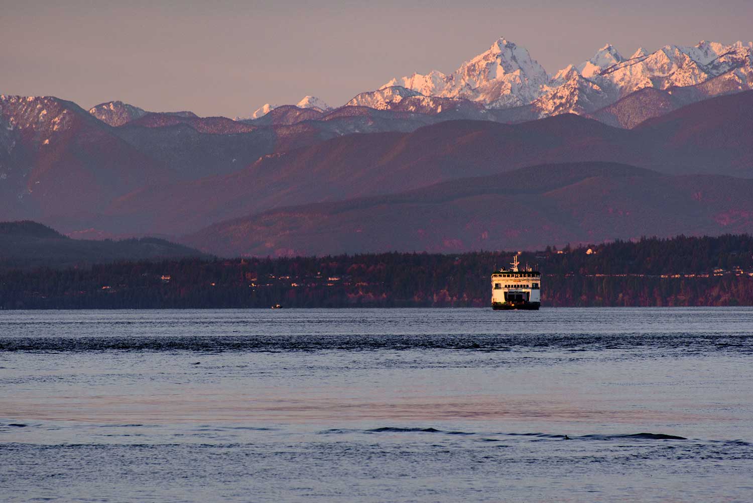 Snow-capped mountains in the background and a Washington State ferry in the foreground.