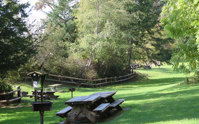 Camano-Island-State-Park-0169