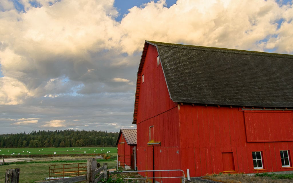 An historic barn on Ebey's Reserve.