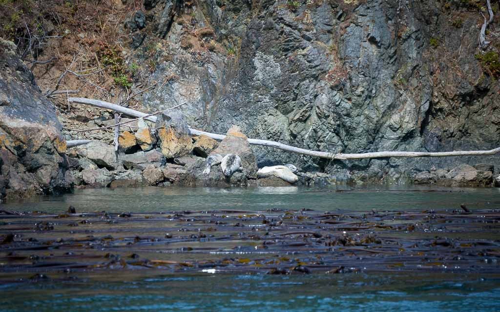 Deception-Pass-Tours-0003