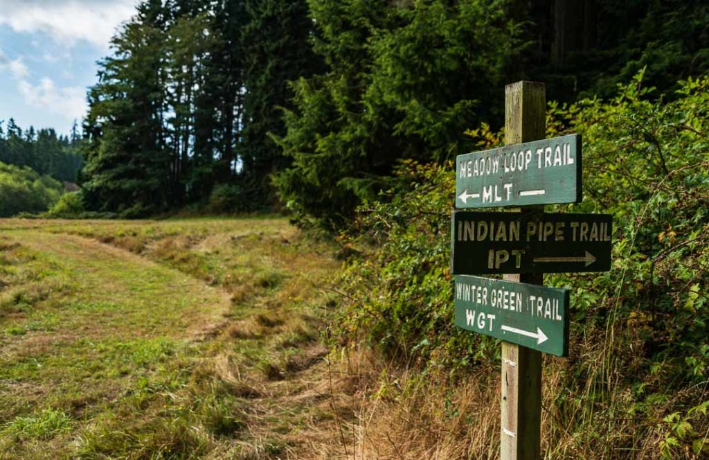 Three trail markers pointing in different directions.