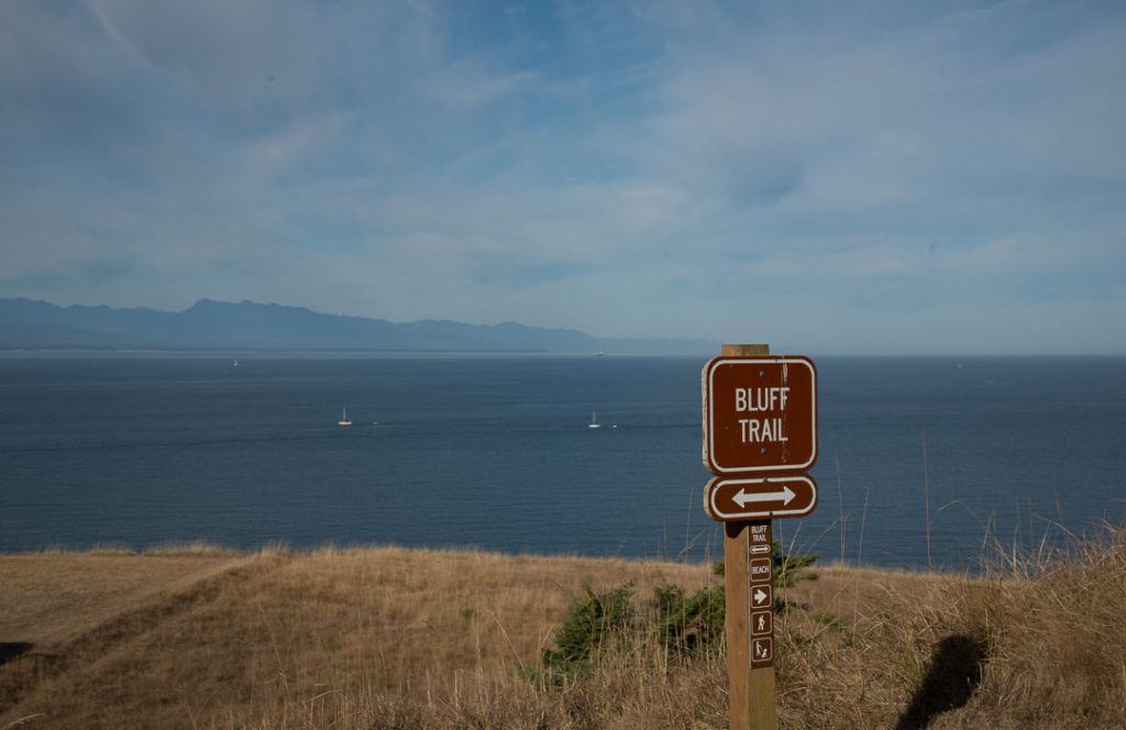 A hiking trail with a view of the ocean. A sign says, "Bluff Trail."