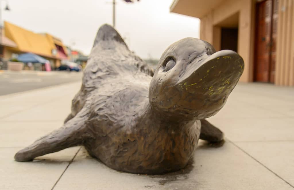 Bronze sculpture of a duck with its feet out from under him