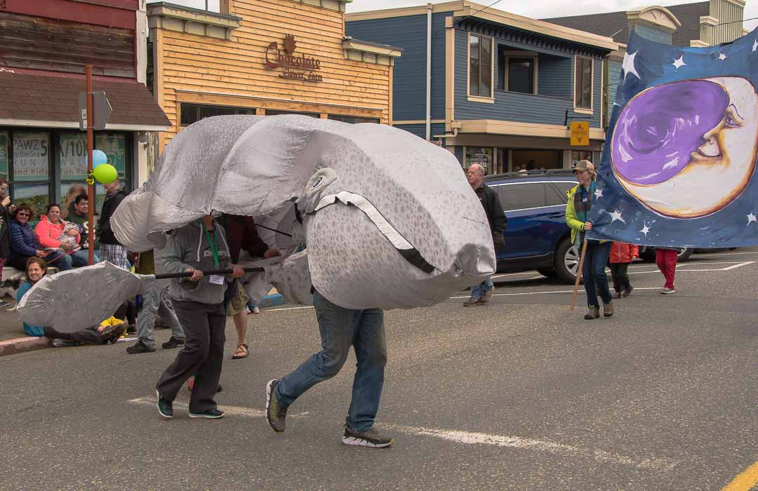 Several people together wear a gray whale costume in a parade.