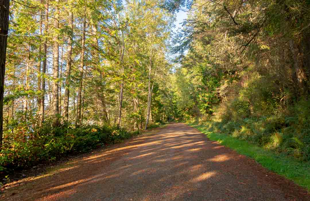 Accessible Outdoor Adventures on Whidbey and Camano Islands