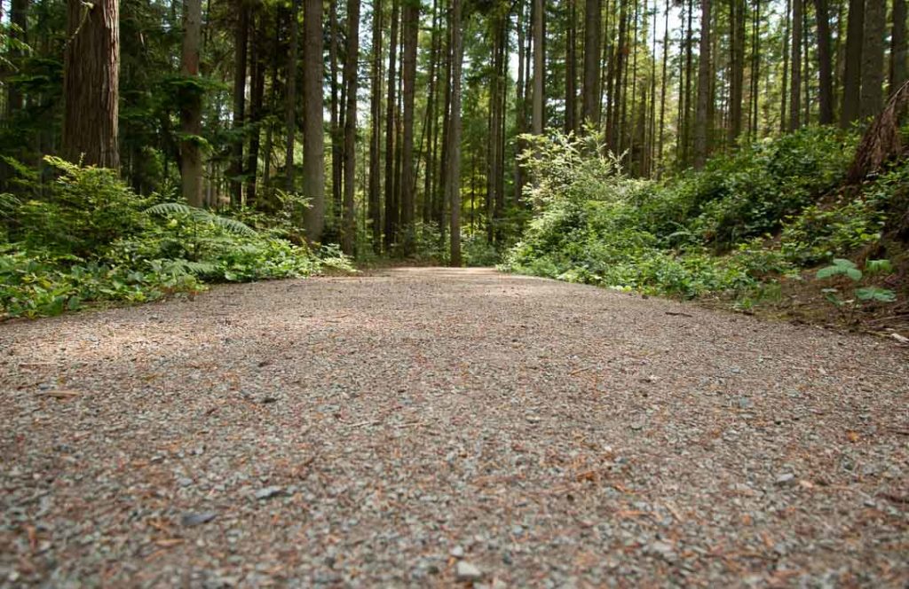 The gravel path for the Trustland Trail