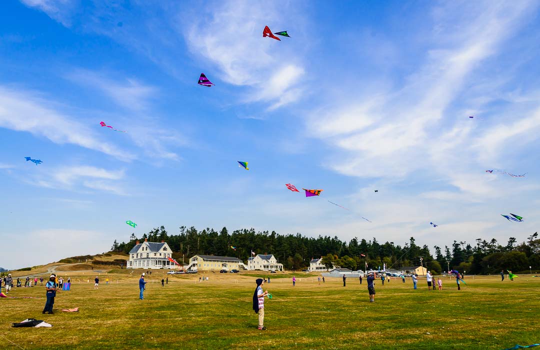 People flying kites in a grassy field
