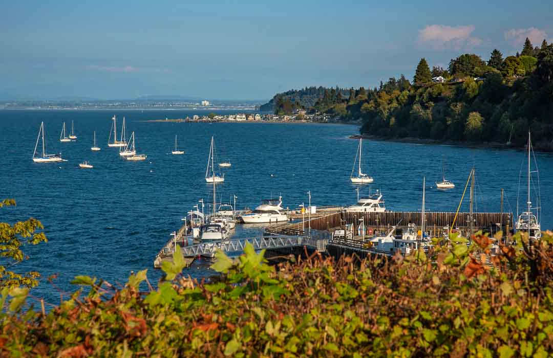 View from a bluff looking down on a small marina filled with recreational boats. Additional boats are moored nearby.