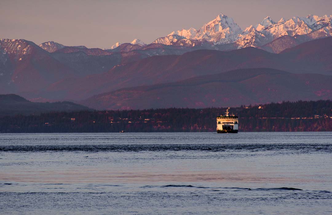 Snow-capped mountains in the background and a Washington State ferry in the foreground.