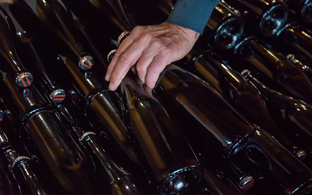 Hand grasping bottles of wine