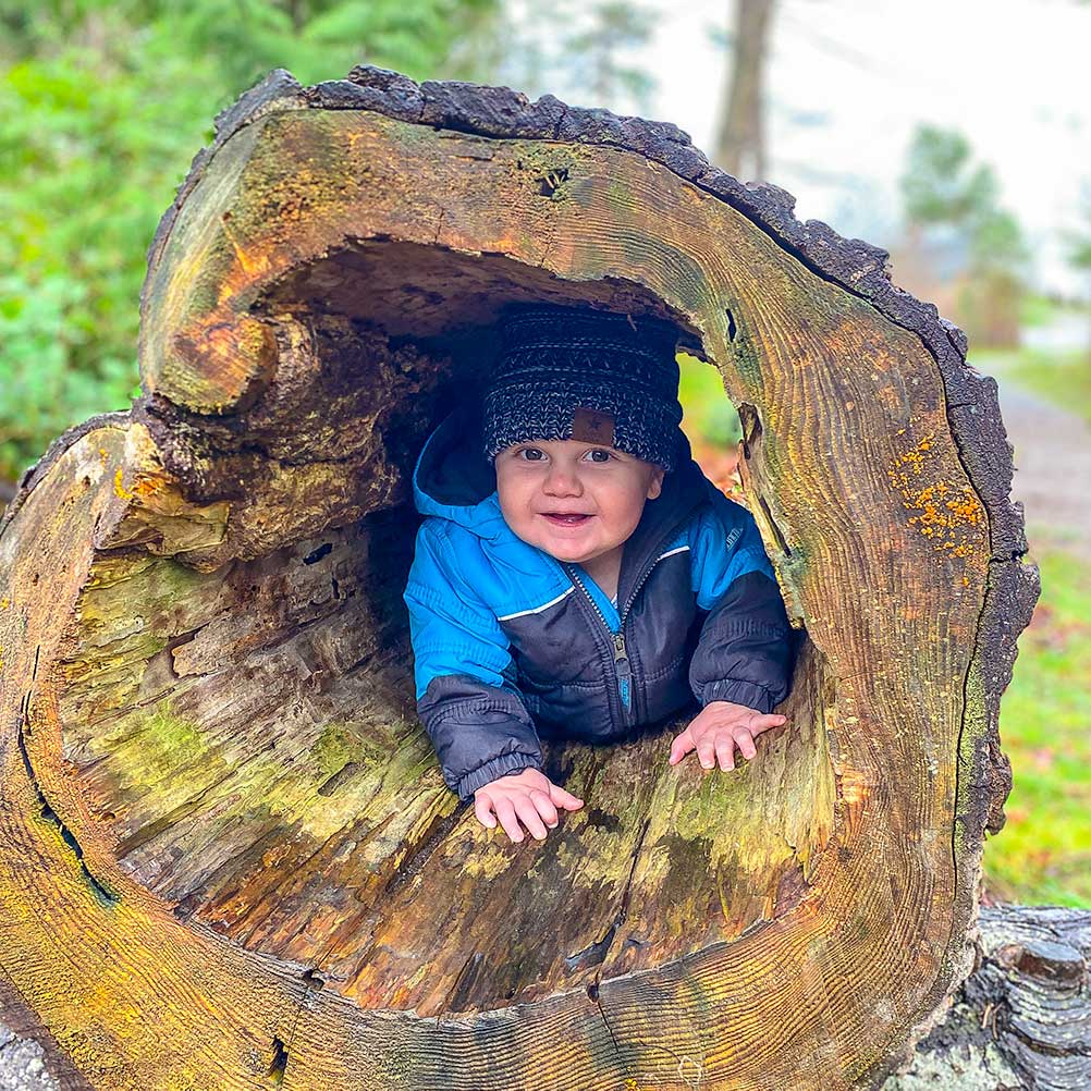 Infant looks out from inside a hollow log.