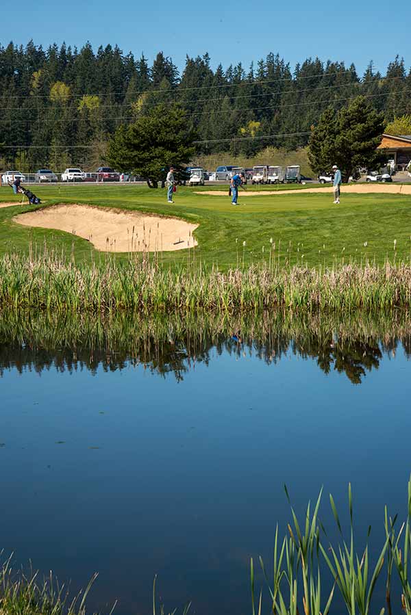 Pond, sand trap and golf green.