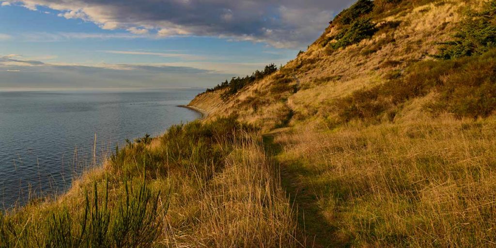 A hilly trail on a bluff overlooking the ocean.