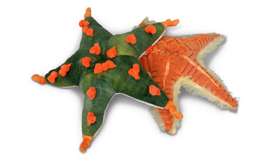 Plush Starfish