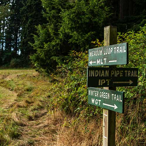 Three trail markers pointing in different directions.