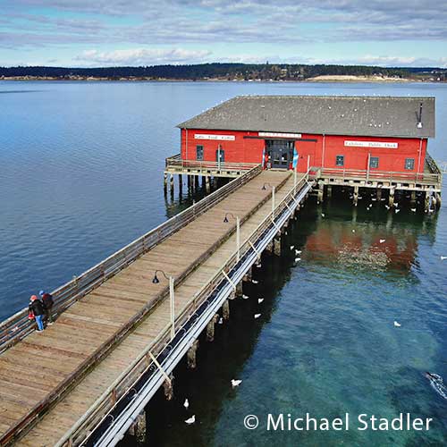 Aerial of an old wharf.