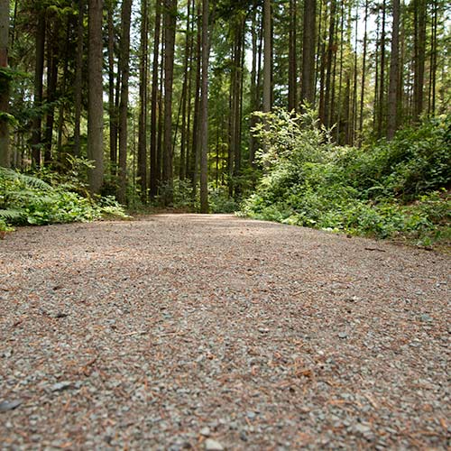 The gravel path for the Trustland Trail