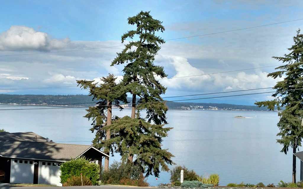 Camano Vista Paradise 02