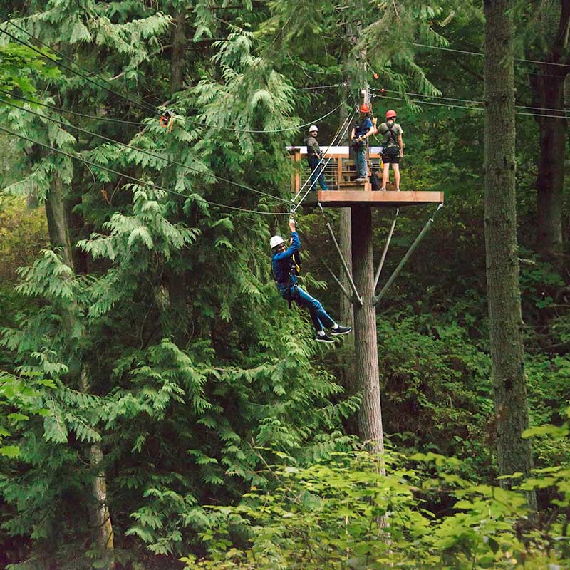 Person zooms down a zip line dangling among the trees.