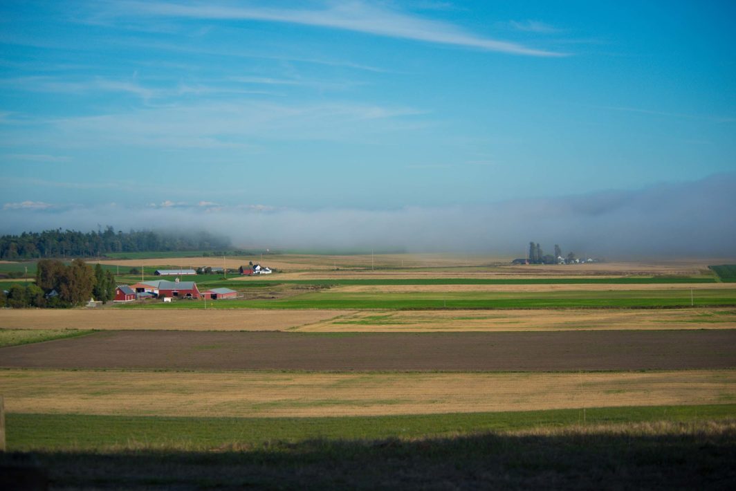 A prairie used for farming and fog in the distance.