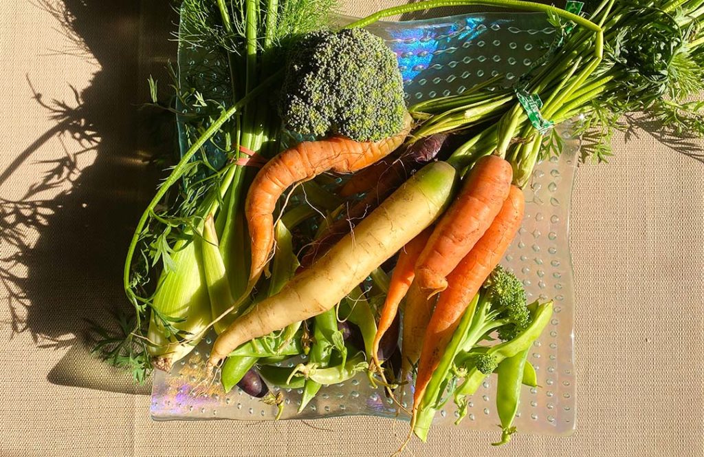 Fresh carrots, broccoli, beans, and more are on a sunlit plate.