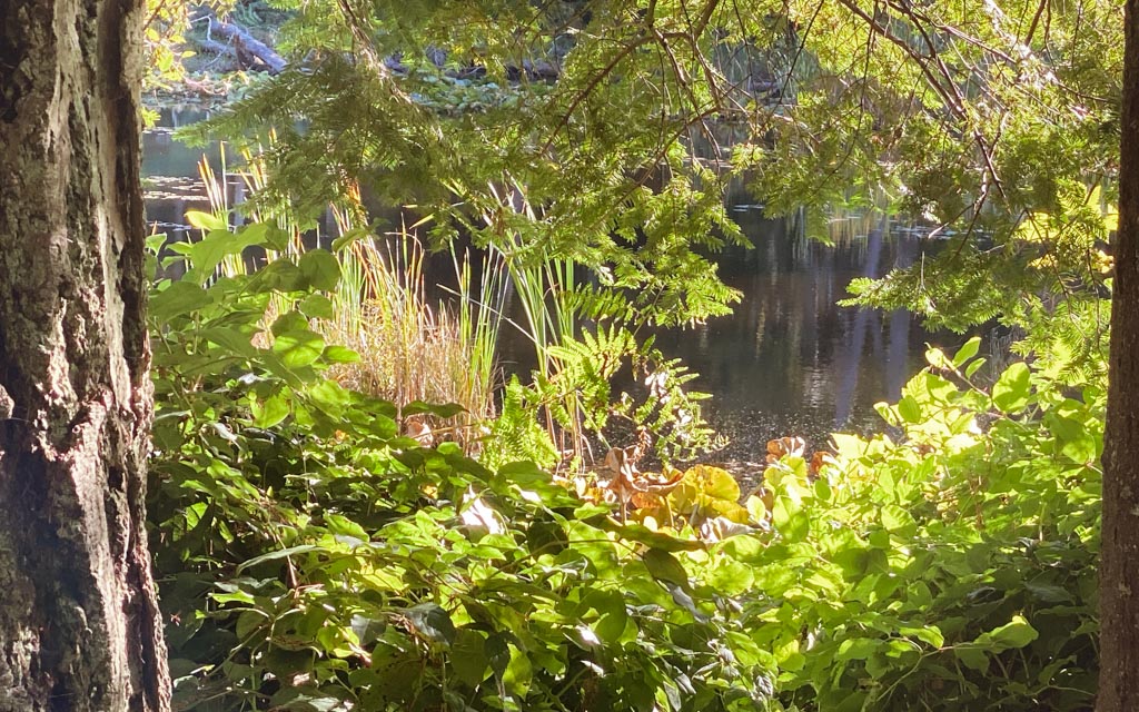 Cranberry Lake 5043