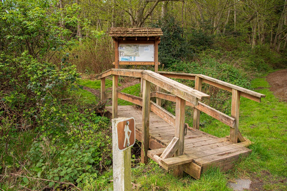 Dorothy Cleveland Trail 8122