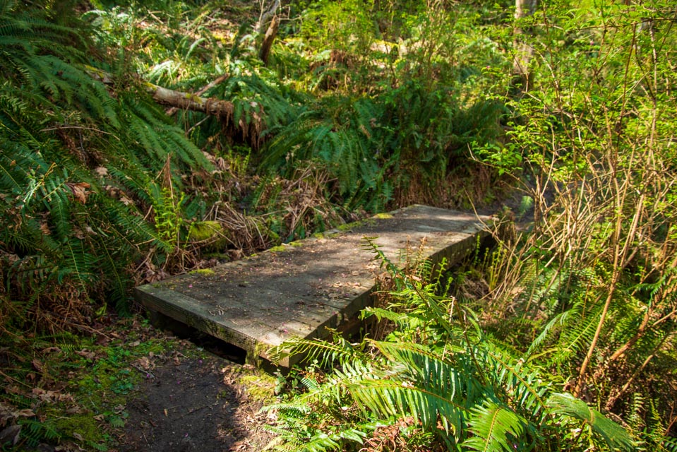 Dorothy Cleveland Trail 8158