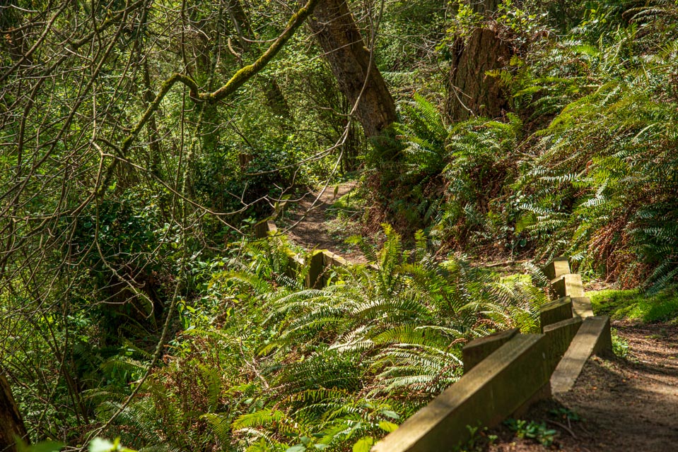 Dorothy Cleveland Trail 8197